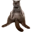 ਸਟਿਕਰ