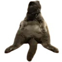 ਸਟਿਕਰ