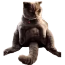 ਸਟਿਕਰ
