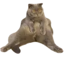 ਸਟਿਕਰ