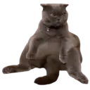 ਸਟਿਕਰ