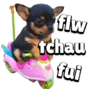 Adhesiu