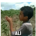 Adhesiu
