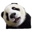 Adhesiu