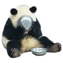 Adhesiu