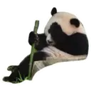 Adhesiu