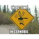 Límmiði