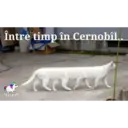 Límmiði