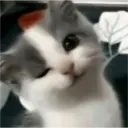 Figurinha