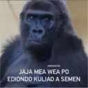 Naljepnica