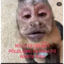 Naljepnica
