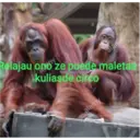 Naljepnica