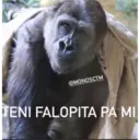 Naljepnica