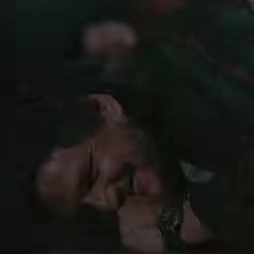 Samolepka