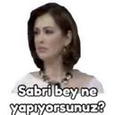 Samolepka