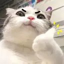 Figurinha