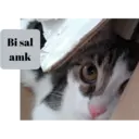 Stiker