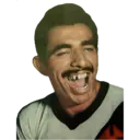 Samolepka