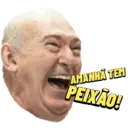 Samolepka