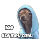 Límmiði