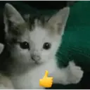 스티커