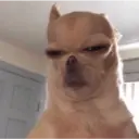 스티커
