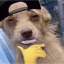스티커