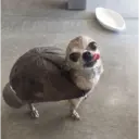 스티커