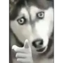 스티커
