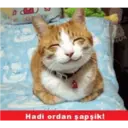 Çıkartma
