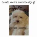 ملصق