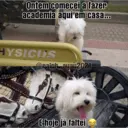 ملصق