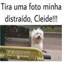 ملصق