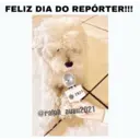 ملصق