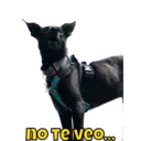 ਸਟਿਕਰ
