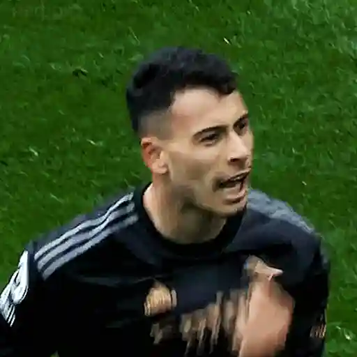 Կպչուն պիտակ