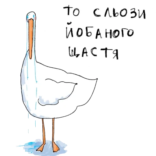 Наліпка