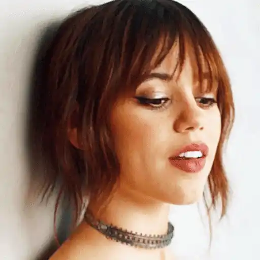 ස්ටිකර්